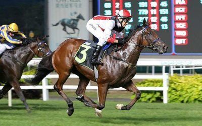 Kiwi owner holds Court for first time at Kranji