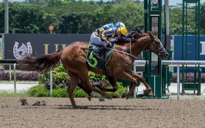 Debutant Heavenly Dancer lands from the clouds