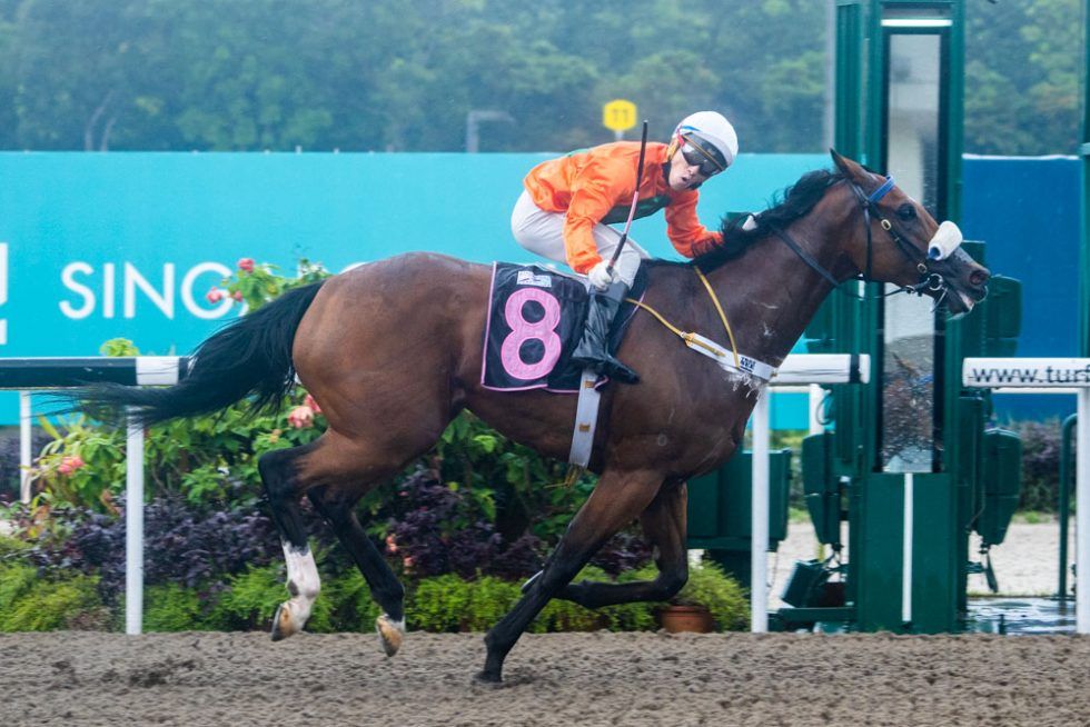 Kharisma continues to inspire with his winning form - Stephen Gray Racing