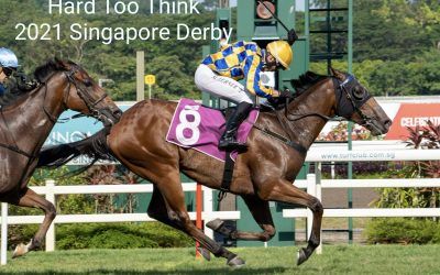 Hard Too Think begins Gold Cup trail next week