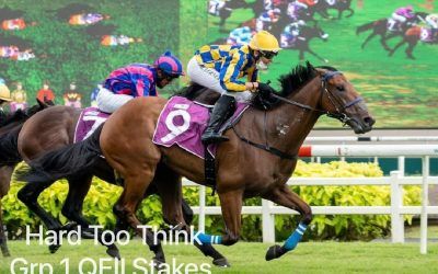 Hard Too Think gearing up for Kranji Mile