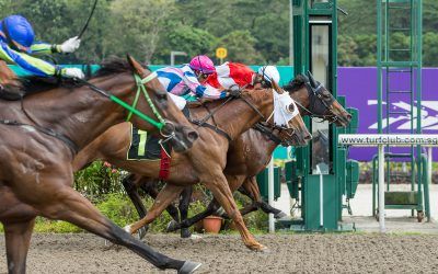 Pick-up ride Darc Bounty hands Zyrul first win of the season