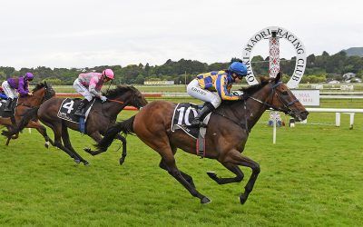 Comeback Win for Redwood’s Sword in Stone