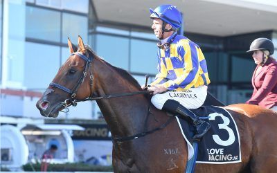 Star Turn Sprinter Strikes Form