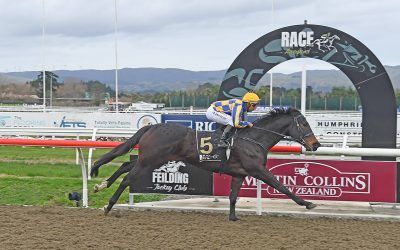 Perfect three for the Grays at Awapuni