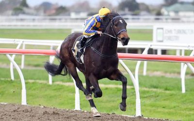 Grays hunting local riches