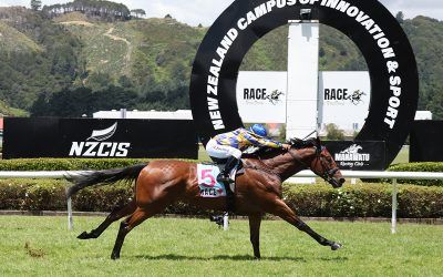 Ex-Waller horse bolts up on NZ debut