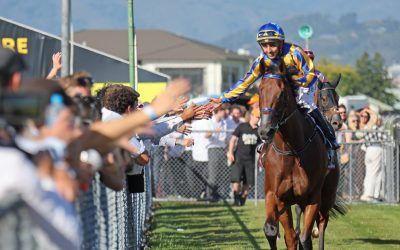 Grays land Douro Cup with promising gelding