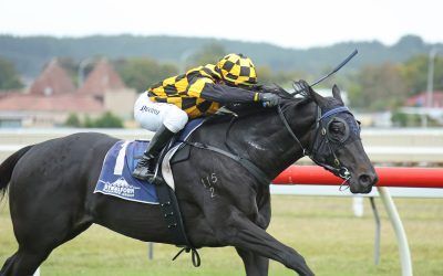 Blinkers prove the difference for well-related three-year-old