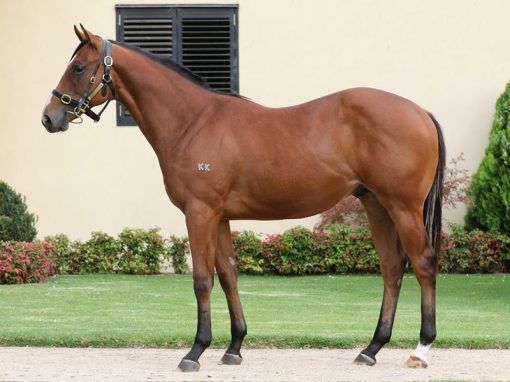 Press Statement X Hold Me Closer