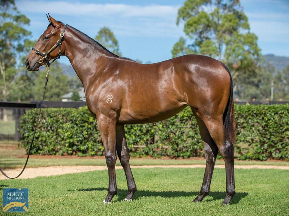 Exceed And Excel X Status Quo