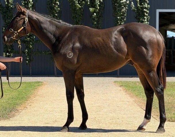 Un-named (Spirit Of Boom – Creativity)