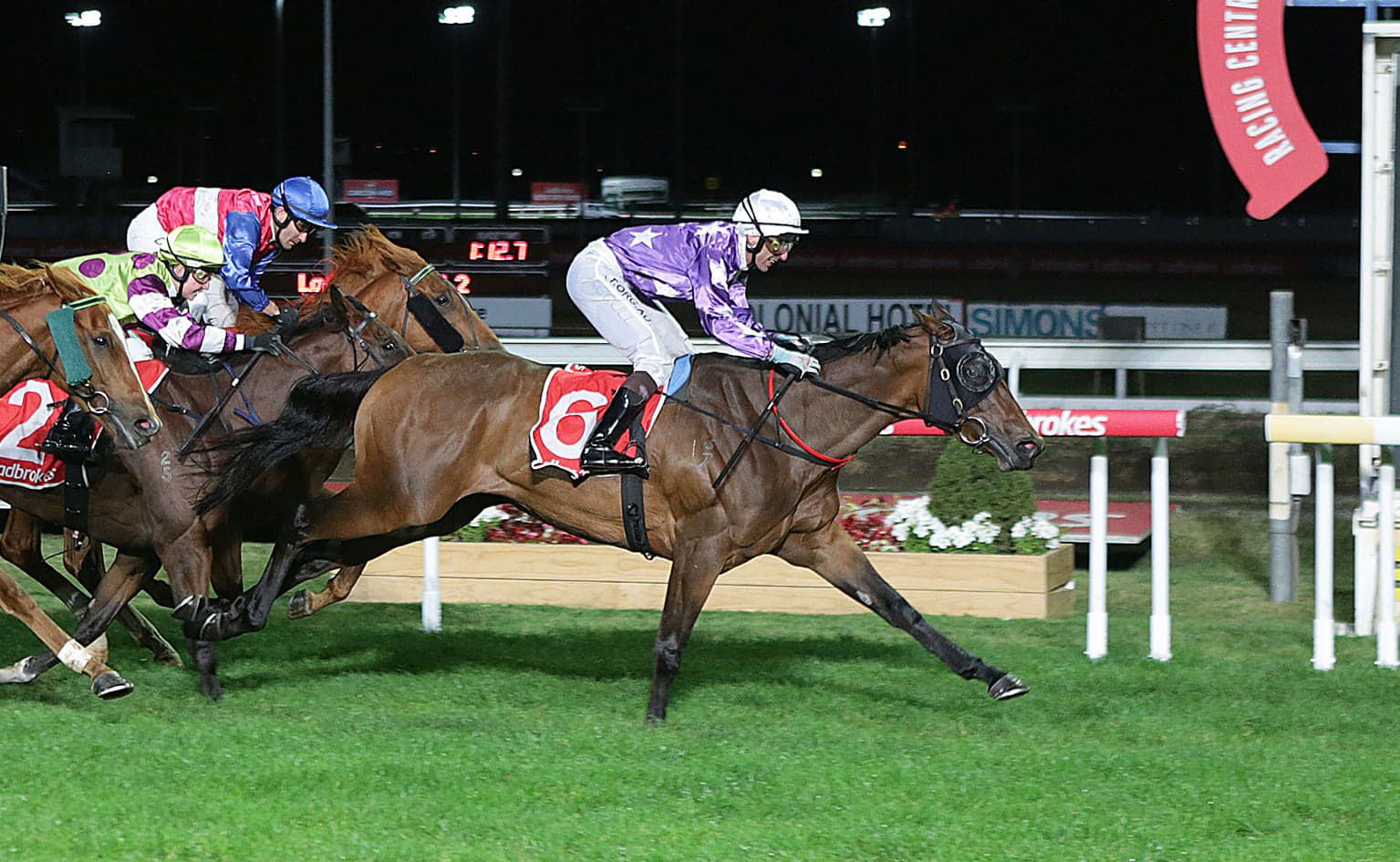 The AZARA story to date - March 2021 - Motree Thoroughbreds