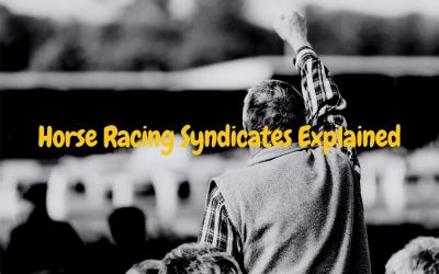 How do horse racing syndicates work?