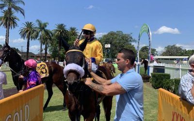 VIBRANT CITY TOO STRONG ON DEBUT