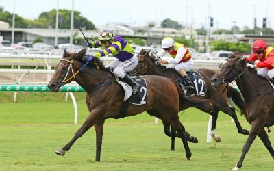 FORTIFICATION TOO STRONG FOR TEAM GUY