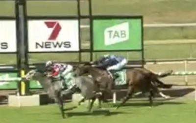 GOOD NEWS FOR LA TRIOLI