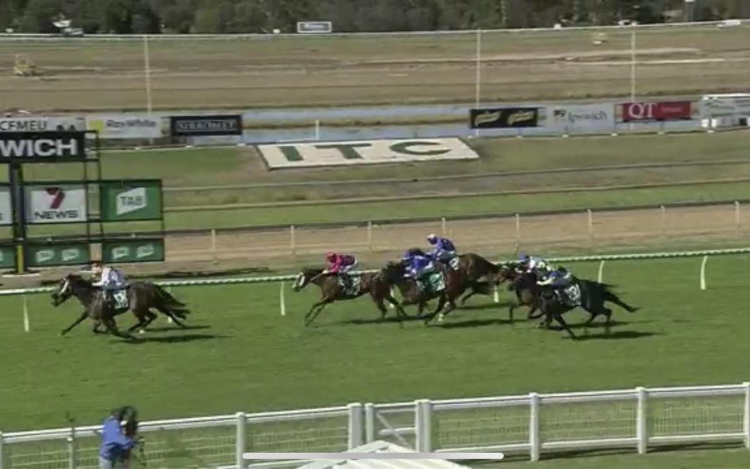 VENDIDIT ARRIVES IN TIME