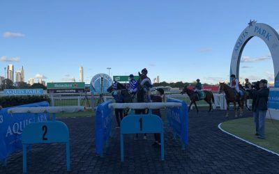 MOMENTUM TO WIN BRINGS UP DOUBLE FOR TEAM GUY