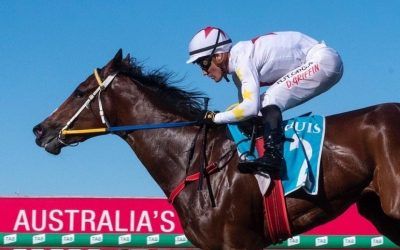 WRITTEN BEAUTY A REAL BEAUTY