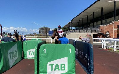 EAGLES FOREVER BRINGS BACK MEMORIES