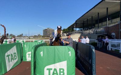 I AM SWERVING STRAIGHT TO THE WINNERS STALL