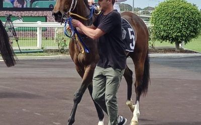 BARRIER NO PROBLEM FOR CLEARANCE SALE