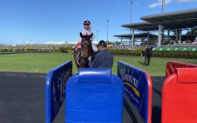 CLEARANCE SALE WINS AGAIN