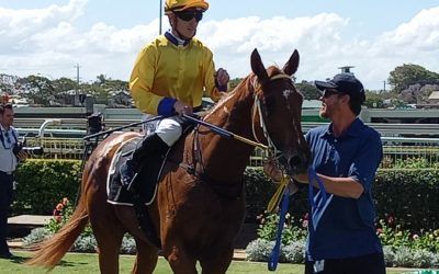 GOLDEN EIGHTY WINS ON DEBUT