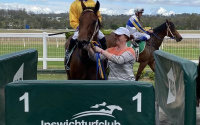 VIBRANT CITY BACK IN THE WINNERS STALL