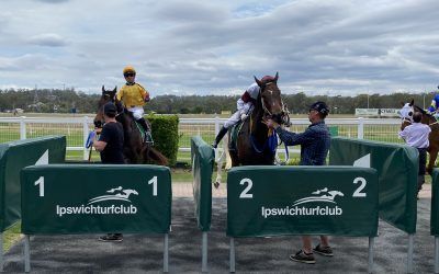 NIAB TRIUMPHS IN TEAM GUY QUINELLA