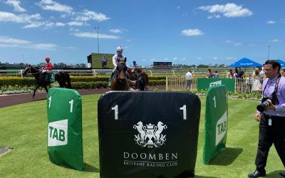 I AM SWERVING BACK IN THE WINNERS STALL