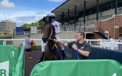  THE OLD TEAM AT IT AGAIN WITH HIGHLIGHTS