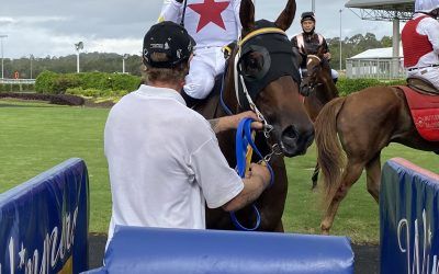 REBEL SALUTE’S FIRST UP