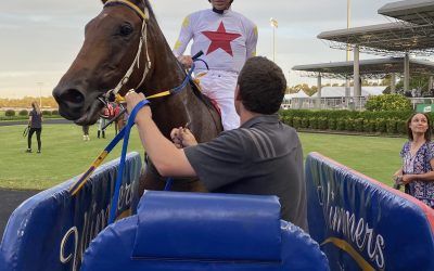 TOO VIENNESE BREAKS HIS MAIDEN IN STYLE