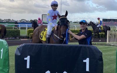 REBEL SALUTE BACK IN THE WINNERS STALL