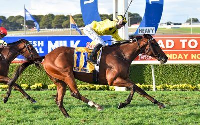 Witchachar Star wins the Warrnambool Cup for Chris Hyland