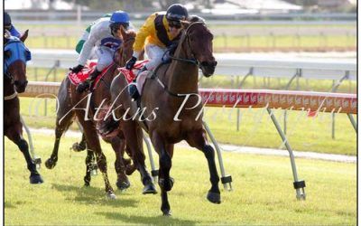 Minervini double as Triple Tee and Little House salute