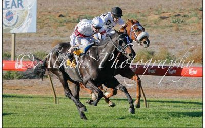 Drafted “Commanding” at Balaklava