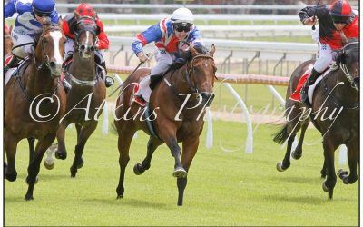 Sha La La Clears First Hurdle