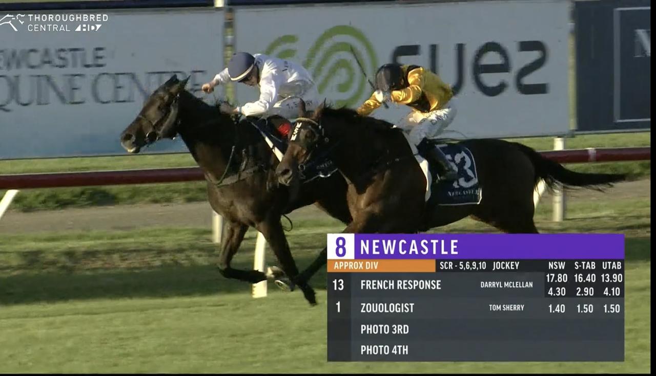 Fresh Frenchie - Minervini Racing