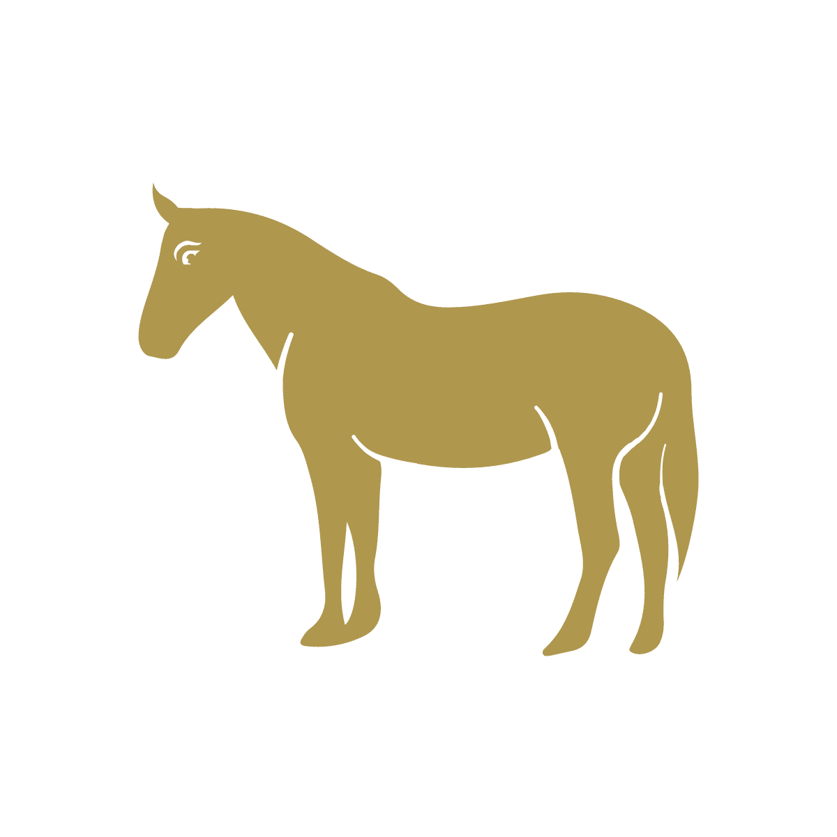 noun Horse 2166281