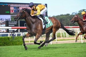 38170dcae5047c14e345c3cf8d23f9ce