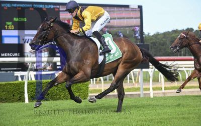 HE’S COOL AT WYONG