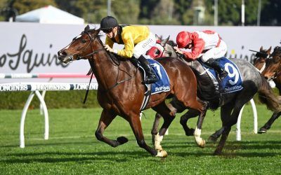Hosier to target Wyong and Newcastle Cups