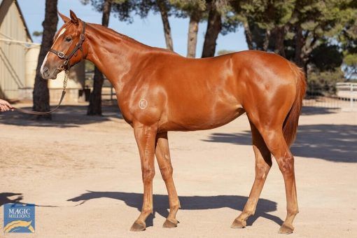 WRITTEN BY  - FRANCISCA FILLY