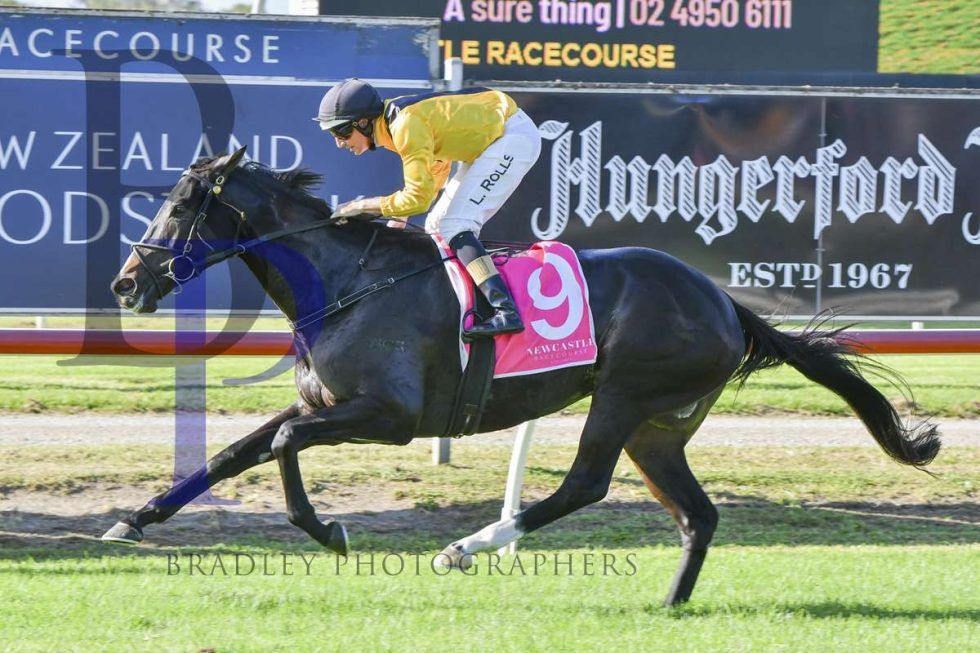 Beautiful Bella - Minervini Racing