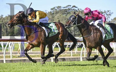 Digital Deal to Wyong Steal