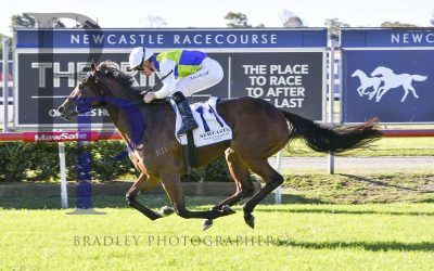 Star on the Rise