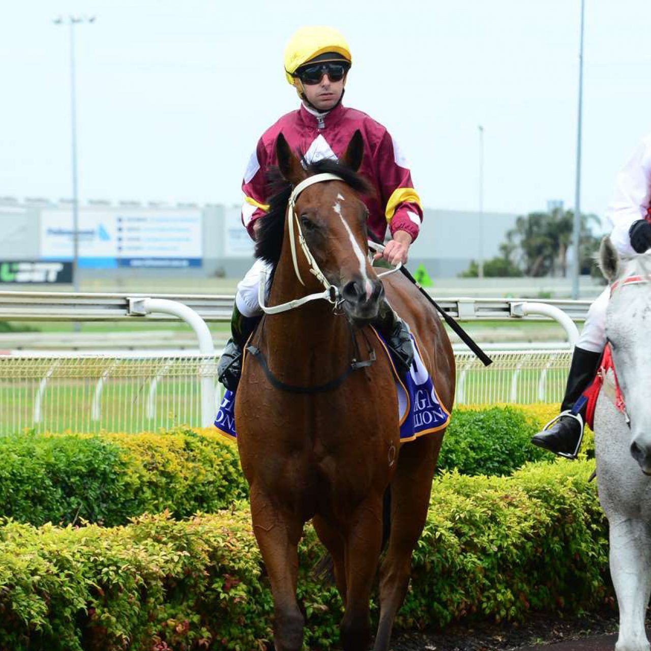 Photo Gallery - Curtis Racing Stables